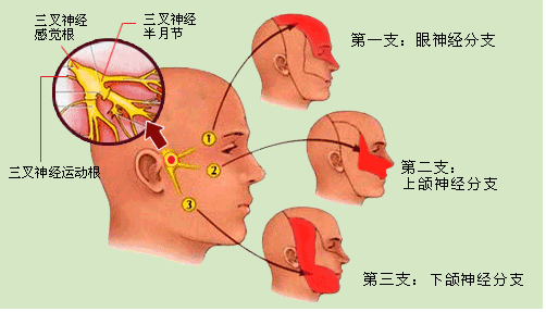 下载 (7).jpg