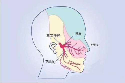 u=558920694,2835096932&fm=26&gp=0.jpg