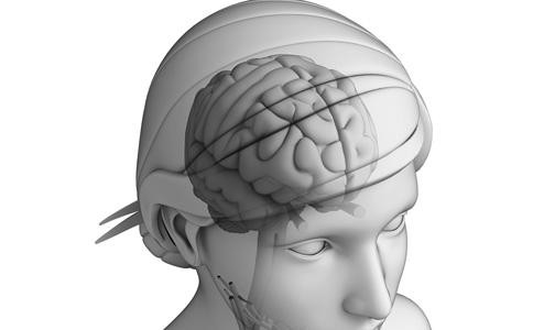 u=1798804129,2385439008&fm=26&gp=0.jpg