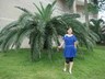 陈翠