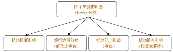 1,括约肌间肛瘘