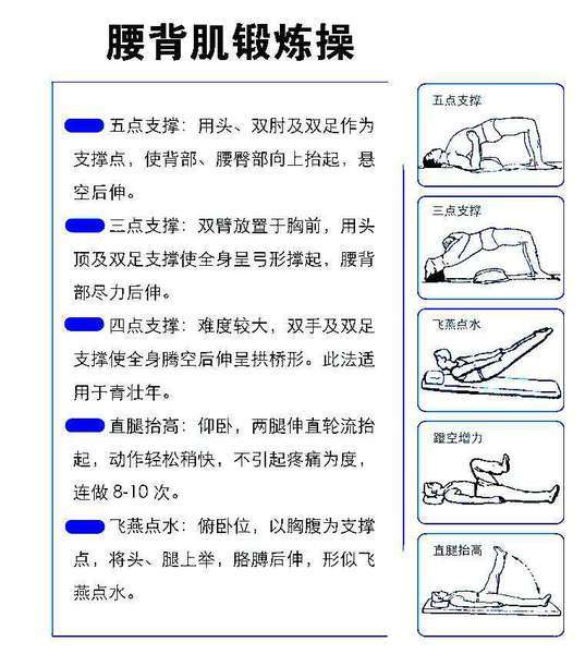 腰椎術後腰背肌肉訓練方法及意義