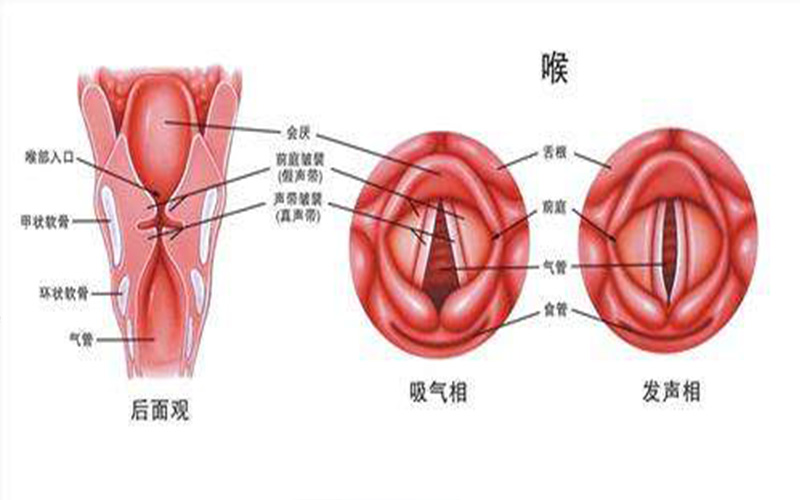 声带小结 早期图片