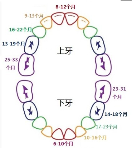 寶寶長牙媽媽必須知道的事