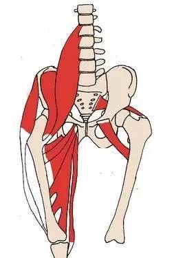 大胯疼怎么回事