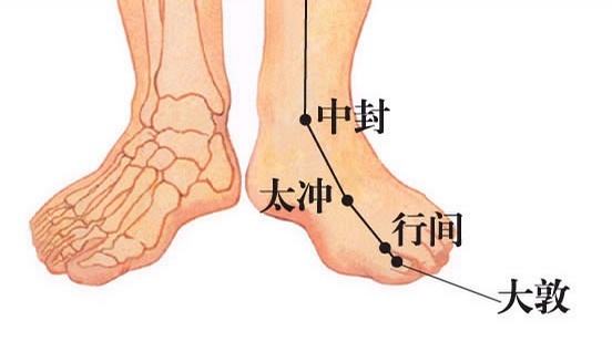 太冲的准确穴位图