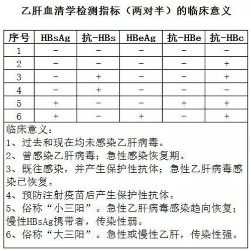 乙肝两对半体检报告单图片