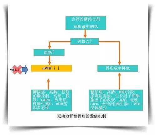 钙磷代谢紊乱的诊治