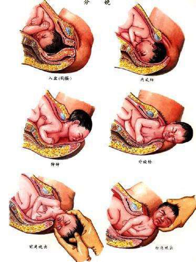 孕晚期宫口开的图片图片