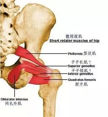 安享生活,健康跑步