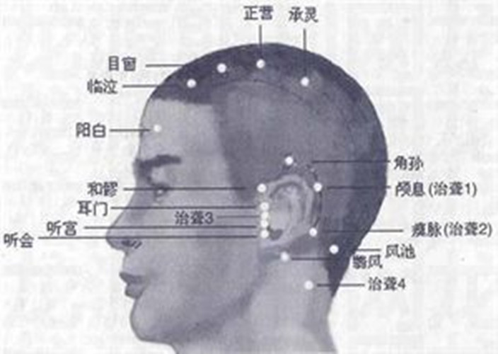 耳背经络对应图图片