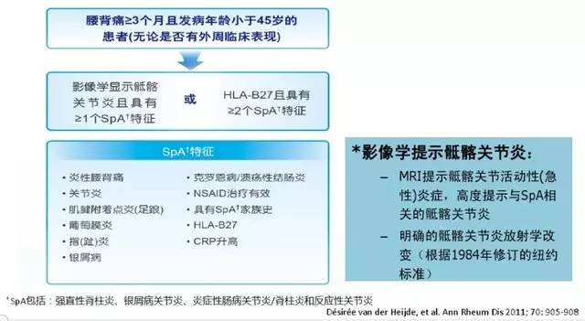 hla-b27,la-b27正常范围,b27检查单图_大山谷图库
