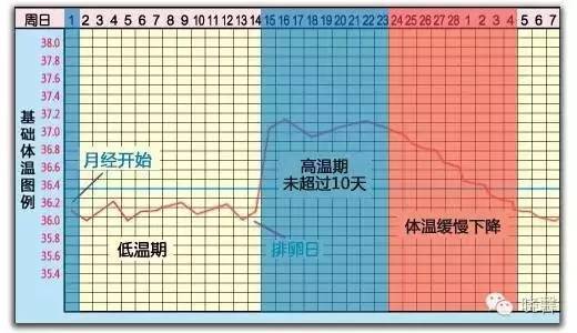 什么是基础体温?