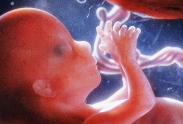 胎儿在肚子里的姿势 (20)