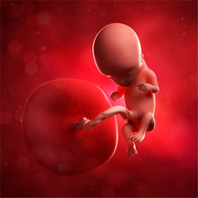 胎儿在肚子里的姿势 (26)