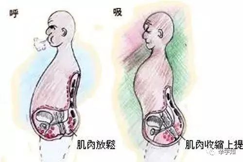 什么是女性脱肛?