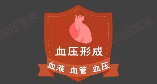 形成动脉血压的前提条件是什么