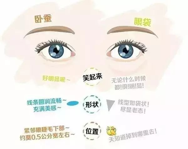 卧蚕,眼袋傻傻分不清?