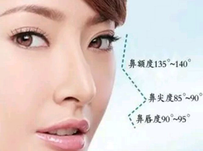 鼻头多高算高鼻梁,鼻梁怎么才算高,眼睛看得到鼻子算高吗_大山谷图库