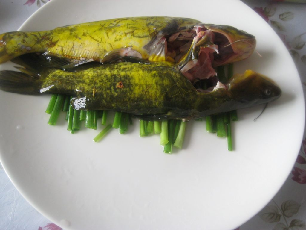 02把盘子里放上葱段,再黄颡鱼放上面01黄颡鱼2条处理干净,葱姜备用