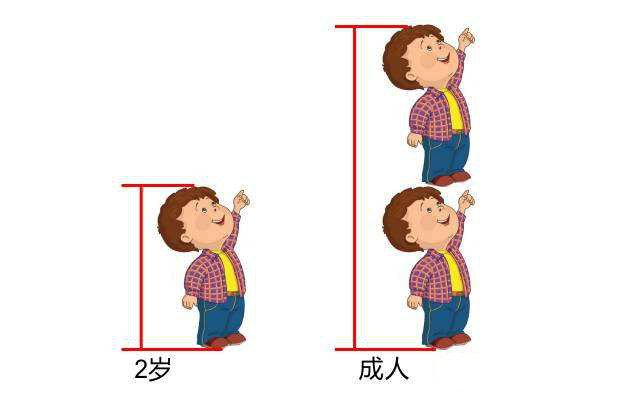 宝宝身高体重标准表图片 (2)