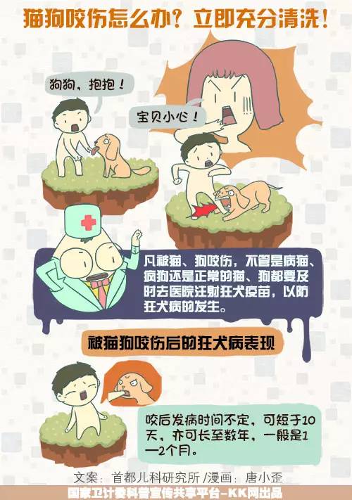 狗咬伤如何处理立即充分清洗
