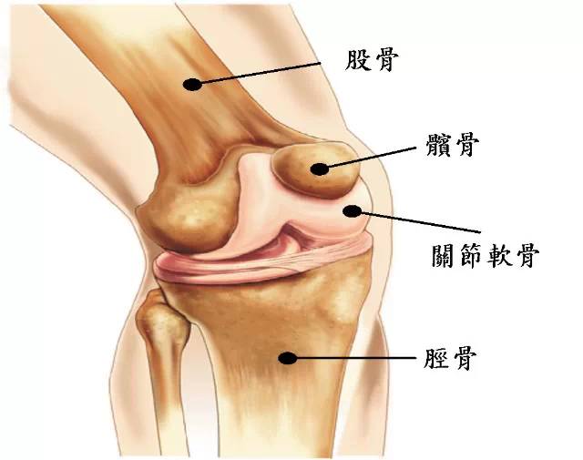 膝关节疼痛怎么办？