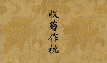 暴晒后装入真带,置头下就寝,所以我国历史上有很长的使用菊花枕的历史