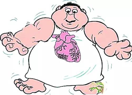 心血管疾病的幕后黑手——肥胖