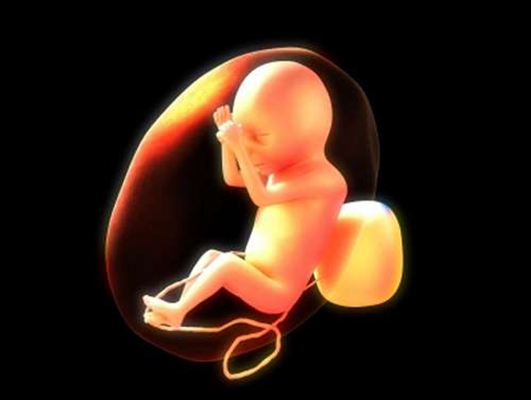 胎儿在肚子里的姿势 (10)