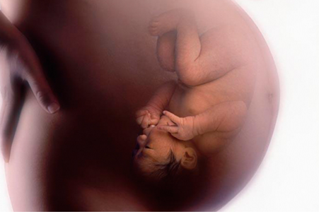 胎儿在肚子里的姿势 (3)