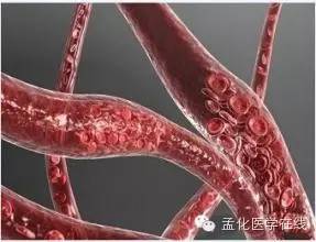 人有多少血多少骨头 ooYBAFmUH5CAAABiAAAy-sUtK7070.jpeg