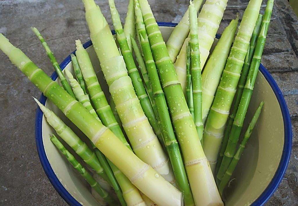 患有白癜风可不可以吃竹笋?