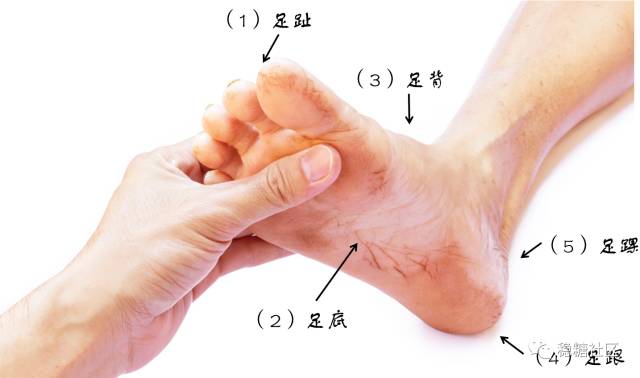 手脚麻木,皮肤干燥?当心糖尿病神经病变来敲门!