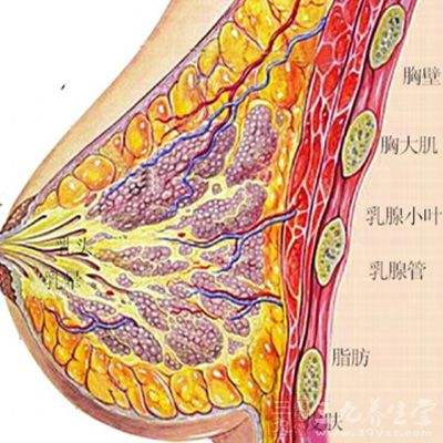浆细胞性乳腺炎的治疗为什么要做乳头内陷矫正术?