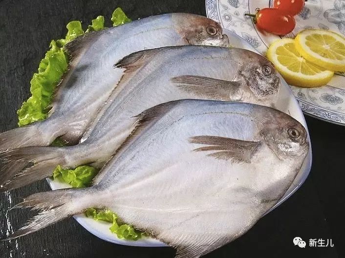 最适合孩子吃的八种鱼,适合宝宝吃的鱼有哪些,海孩子鱼_大山谷图库