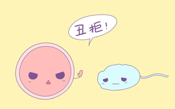 畸形精子.jpg
