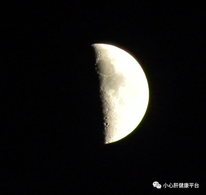 上弦月有哪些寓意,上弦月月相,上弦月示意图_大山谷图库