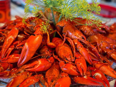 crayfish-767685__340_副本.jpg