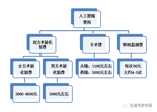 试管婴儿国外花费明细表(试管国外好还是国内好)-第1张图片-鲸幼网