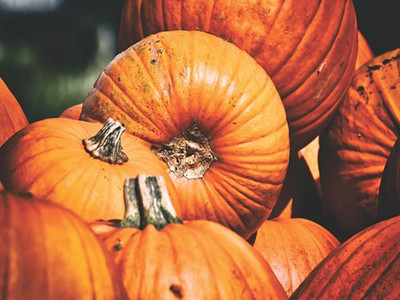 pumpkins-3665551__340_副本.jpg