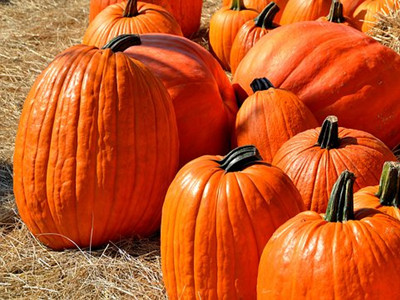 pumpkins-1572864__340_副本.jpg