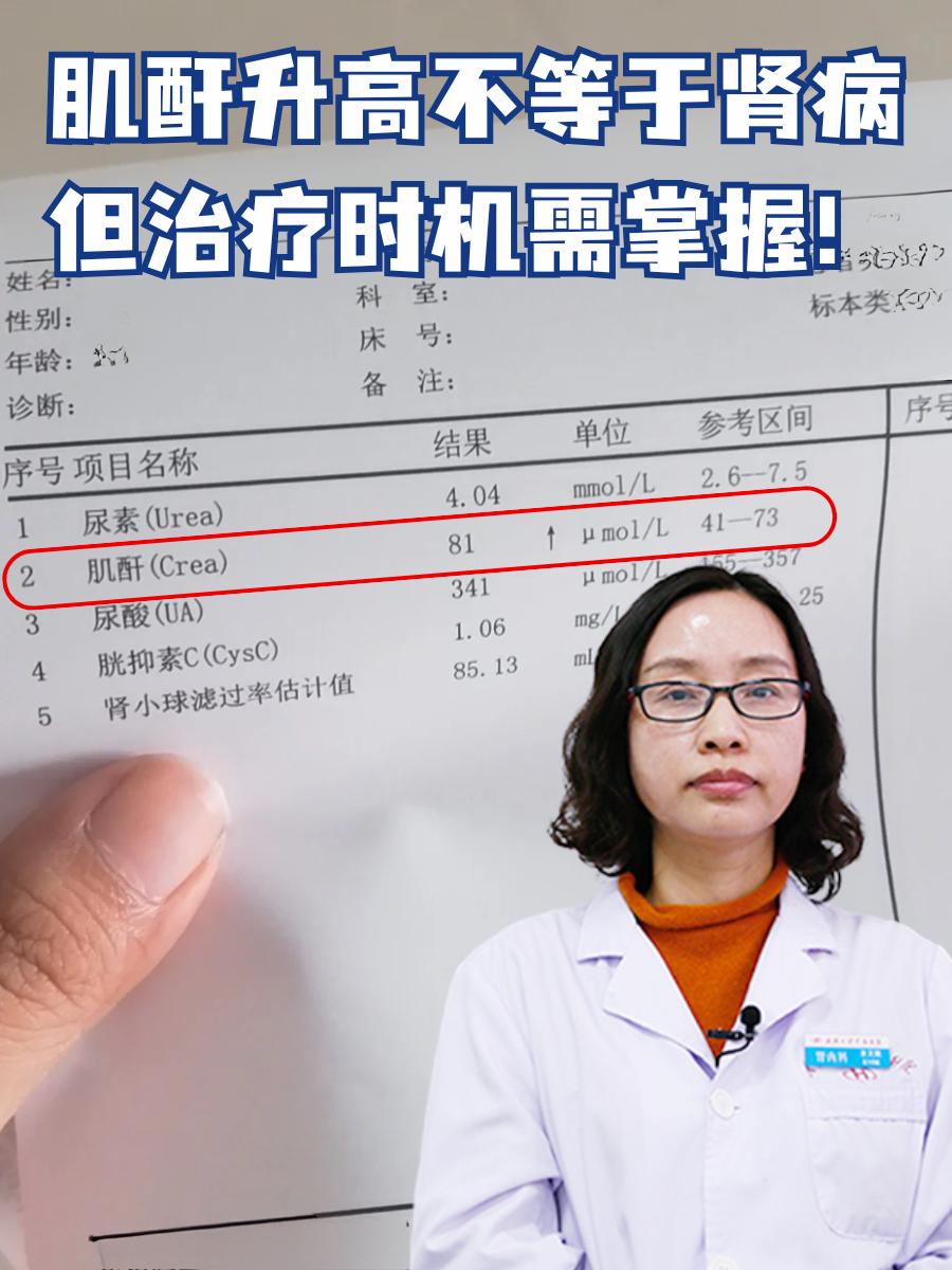 肌酐升高不等于肾病,但治疗时机需掌握!