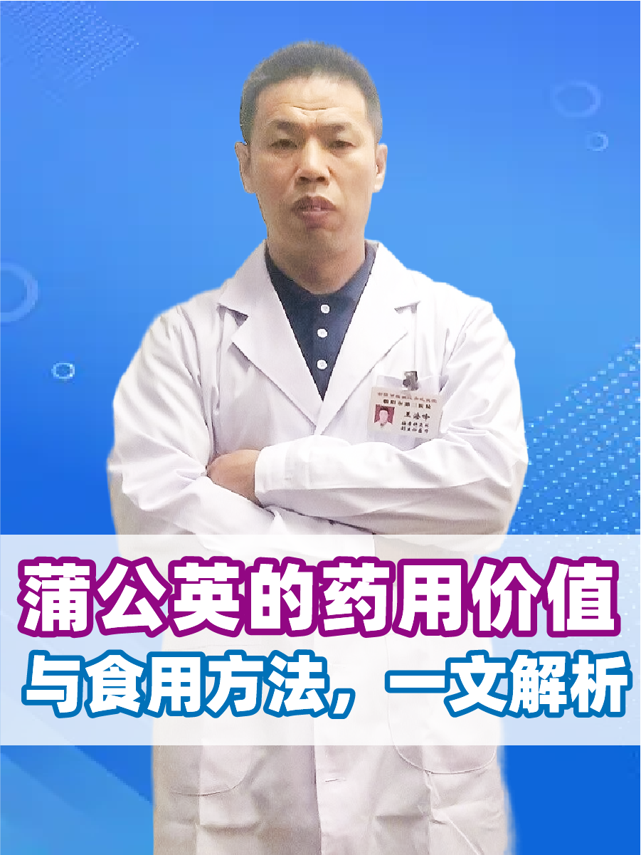 蒲公英的药用价值与食用方法，一文解析