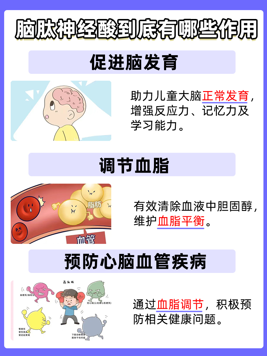 脑肽神经酸的作用与功效，答案来了