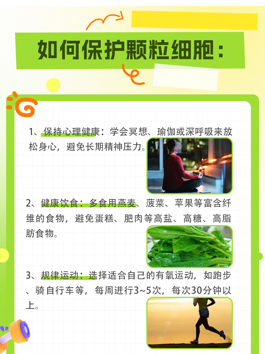 不可忽视的颗粒细胞：它们在人体中的作用超乎想象