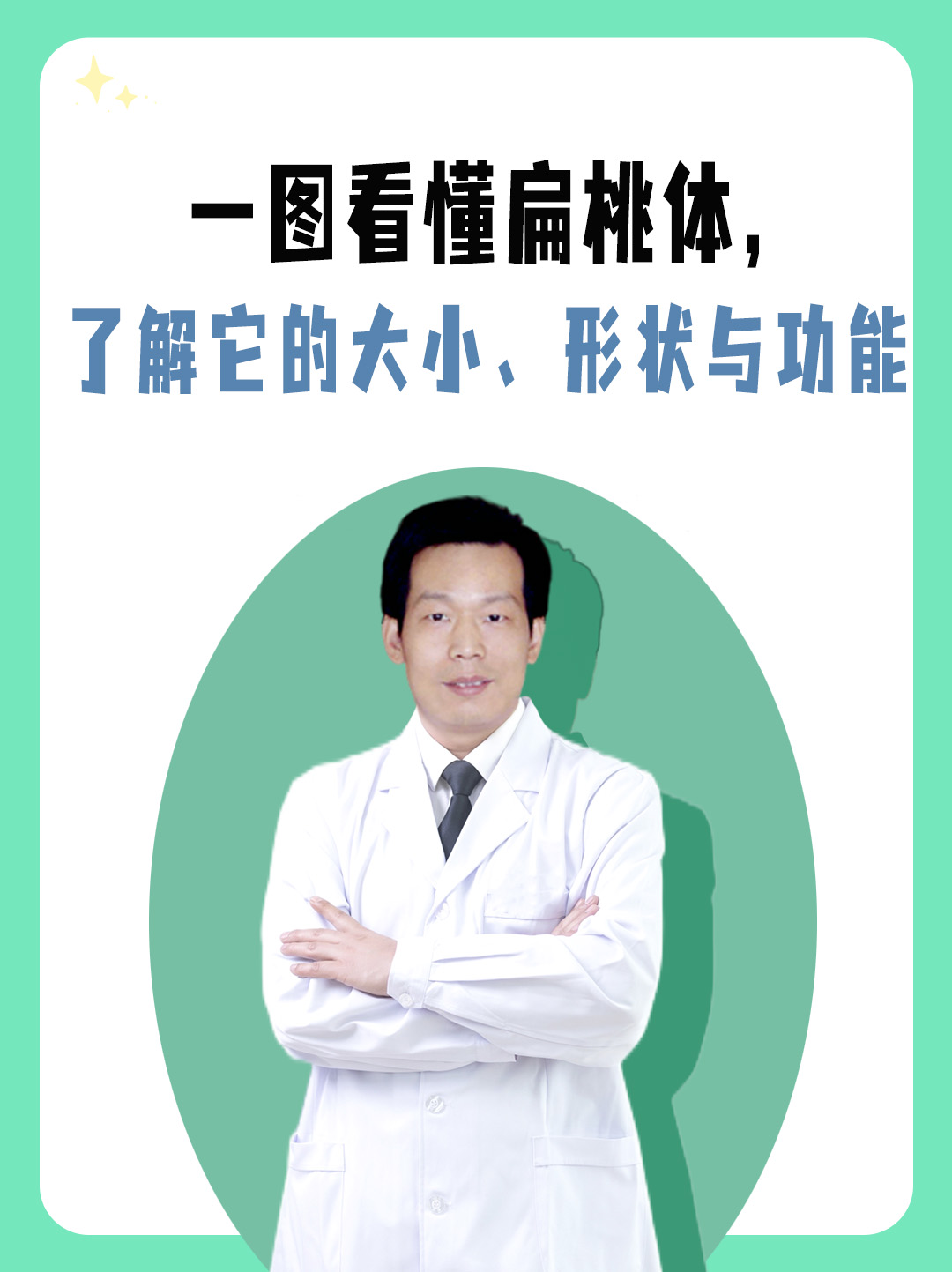 一图看懂扁桃体，了解它的大小、形状与功能