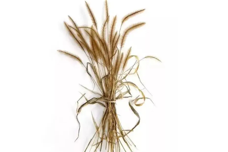 毛毛草药材外观图 毛毛草药材外观图