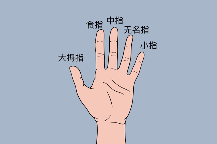 食指、中指位置图