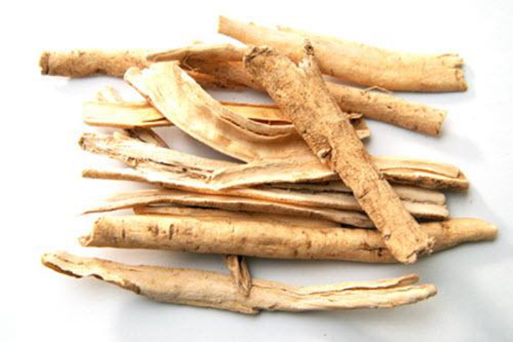 白鲜皮药材图